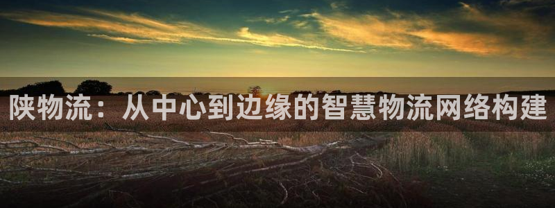 狗子28注册限制怎么解除：陕物流：从