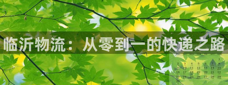 麻将1狗子28：临沂物流：从零到一的快递之路