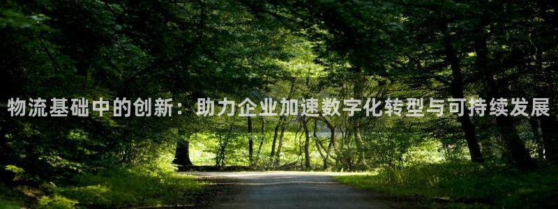 狗子28推广链接是多少：物流基础中的