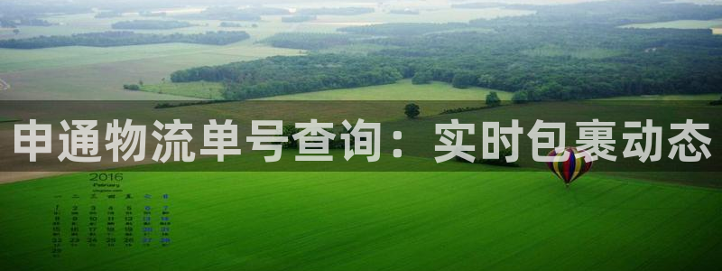狗子28登录不上咋回事：申通物流单号