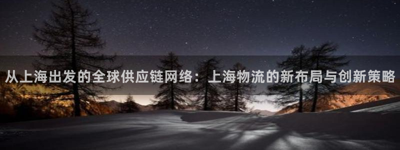 狗子28下载二维码：从上海出发的全球供应链网络：上海物流的新