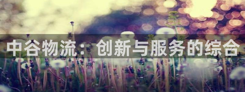 狗子28怎么注册：中谷物流：创新与服