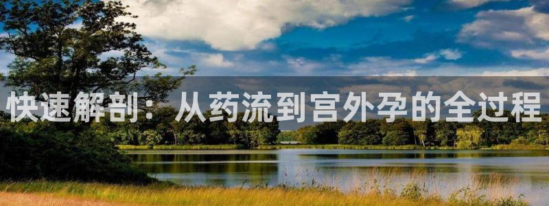 狗子28官网多少：快速解剖：从药流到