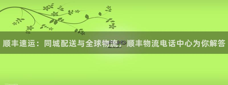 狗子28网赌有什么风险：顺丰速运：同城配送与全球物流，顺丰物
