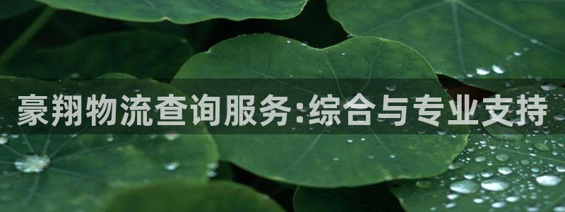 狗子28注册：豪翔物流查询服务:综合
