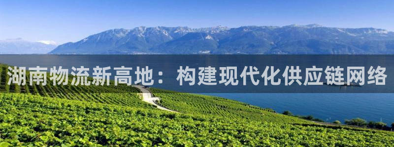 狗子28app官网少林足球