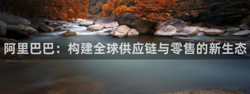 狗子28登录：阿里巴巴：构建全球供应