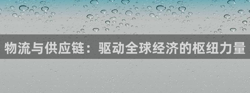 狗子28模拟器在线玩：物流与供应链：