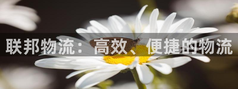 狗子28注册官网：联邦物流：高效、便