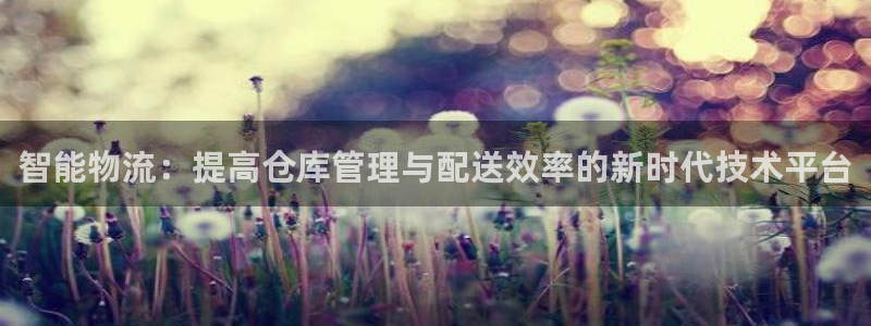 狗子28官网注册：智能物流：提高仓库
