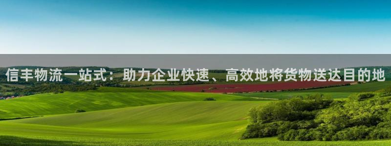 狗子28注册登录链接：信丰物流一站式