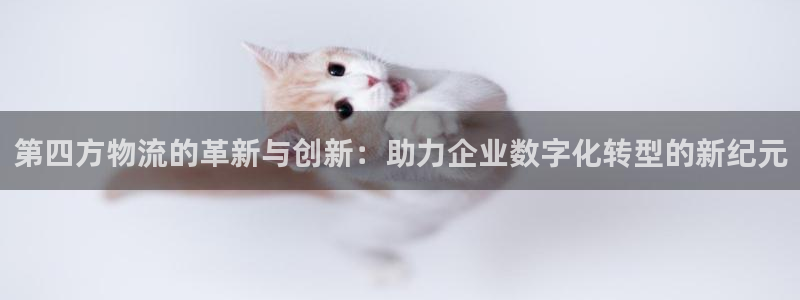 狗子28赌博被抓