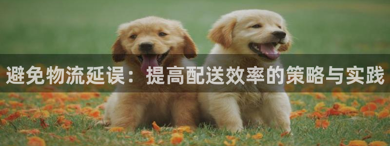 狗子28官网入口pc正版