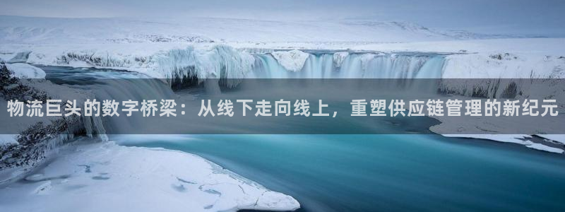 狗子28激活码：物流巨头的数字桥梁：