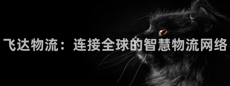 狗子28官网下载链接是什么：飞达物流