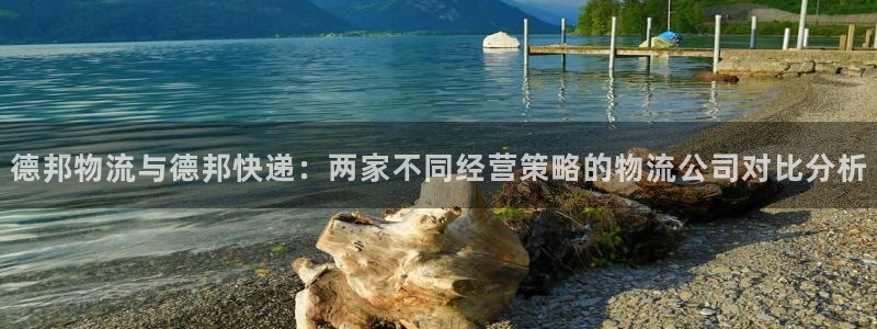 自行车狗子28是什么意思：德邦物流与