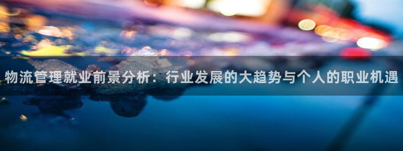 狗子28p图上分下款通道：物流管理就