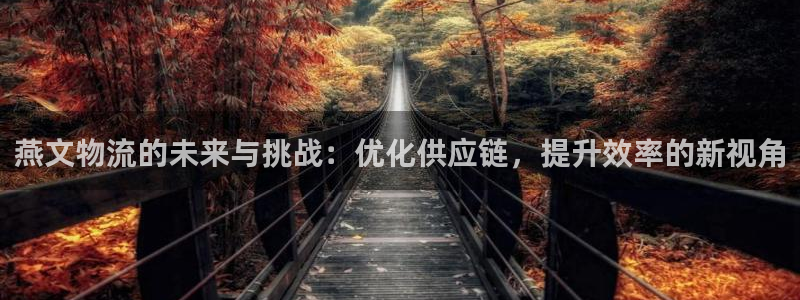 狗子28官网平台：燕文物流的未来与挑战：优化供应链，提升效率