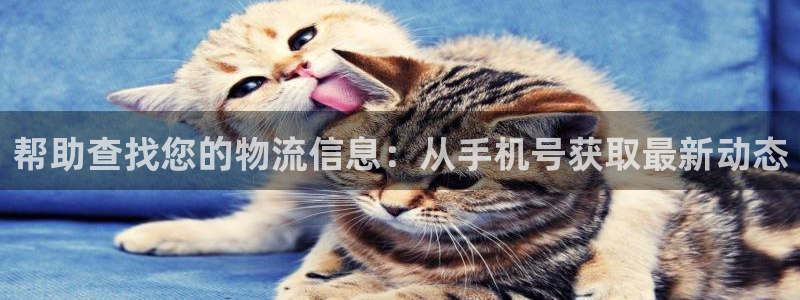 狗子28注册网页版：帮助查找您的物流