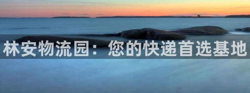 狗子28pg麻将胡了：林安物流园：您