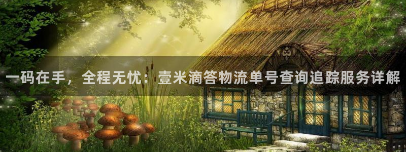 狗子28圈：一码在手，全程无忧：壹米