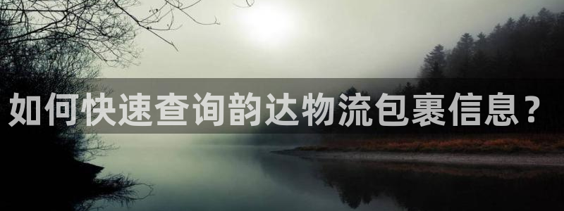 狗子28忘记账号：如何快速查询韵达物