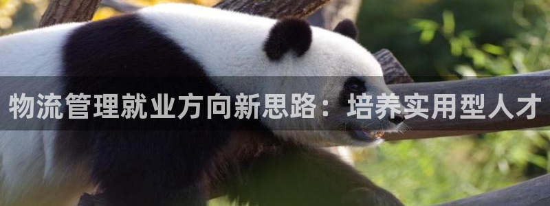 狗子28注册与教程:物流管理就业方向