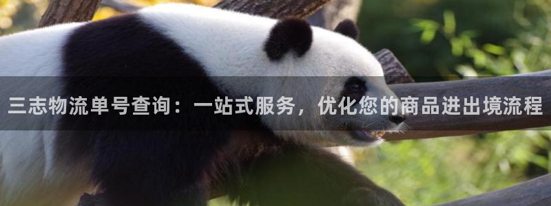 自行车狗子28是什么意思:三志物流单