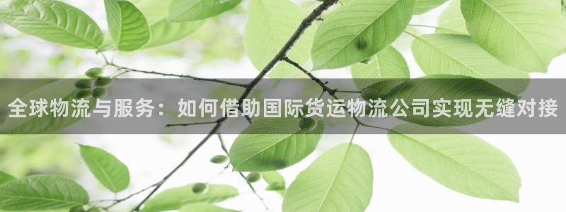 狗子28防失联网址：全球物流与服务：如何借助国际货运物流公司