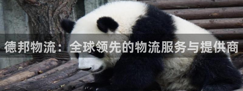 狗子28怎么注册游戏名字