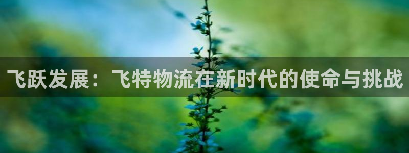 狗子28app官网少林足球:飞跃发展