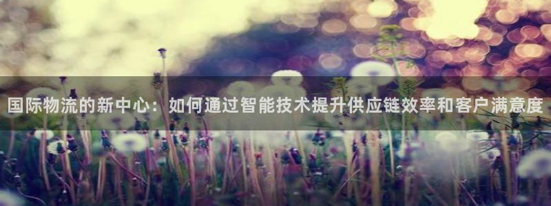 狗子28登录不上咋回事：国际物流的新中心：如何通过智能技术提