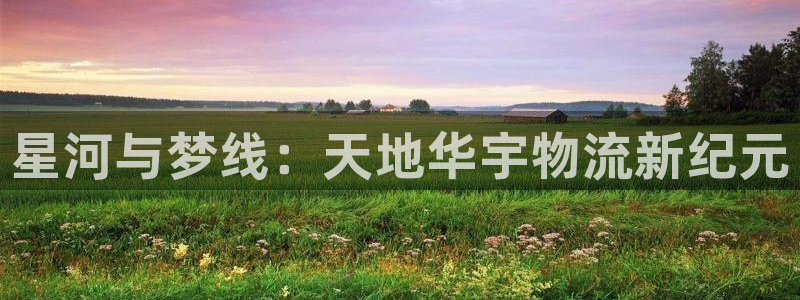 狗子28v6能卖多少:星河与梦线:天