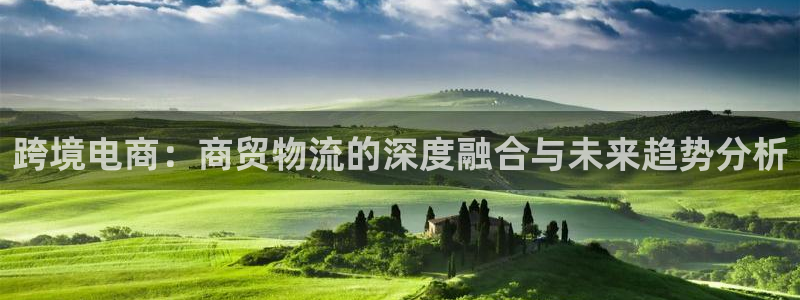 狗子28软件有什么用:跨境电商:商贸