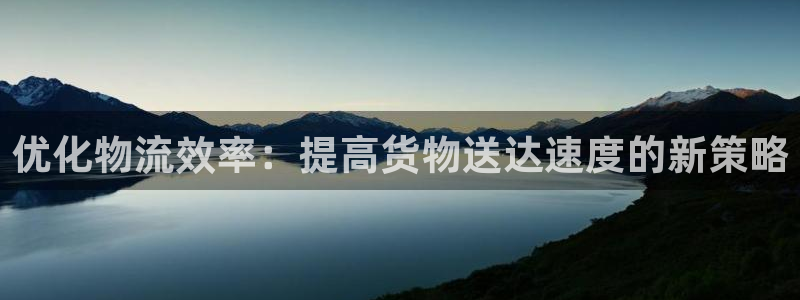 狗子28下载体育：优化物流效率：提高