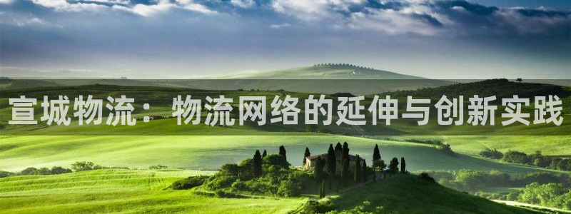 狗子28官方：宣城物流：物流网络的延