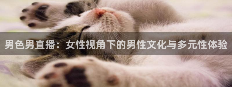 鲸鱼直播(体育直播)