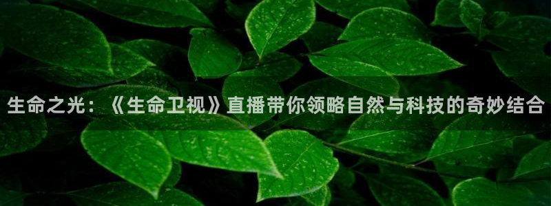 新闻图片