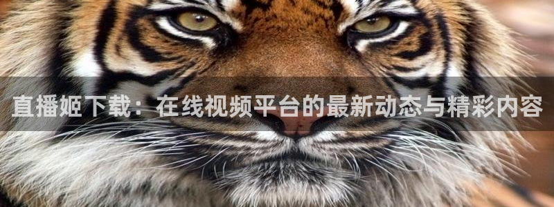 鲸鱼体育直播在线观看：直播姬下载：在线视频平台的最新动态与精彩内容