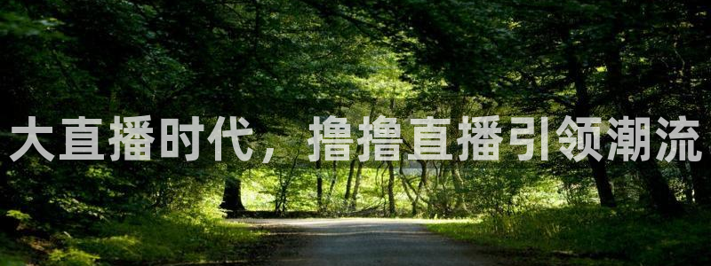 鲸鱼体育app下载安装最新版：大直播时代，撸撸直播引领潮流