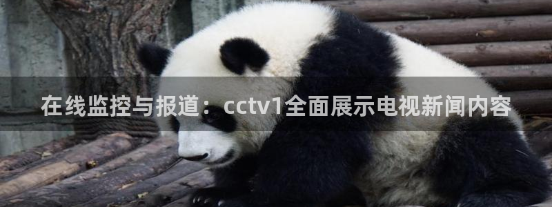 鲸鱼体育直播app免费下载：在线监控与报道：cctv1全面展示电视新闻内容