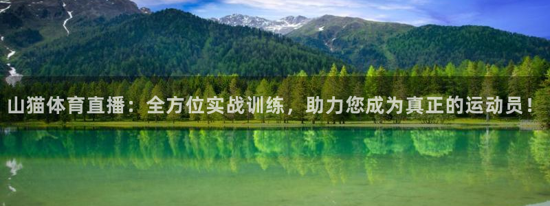 鲸鱼直播：山猫体育直播：全方位实战训练，助力您成为真正的运动员！