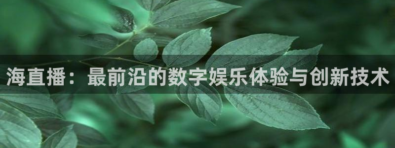 鲸鱼看球直播：海直播：最前沿的数字娱乐体验与创新技术
