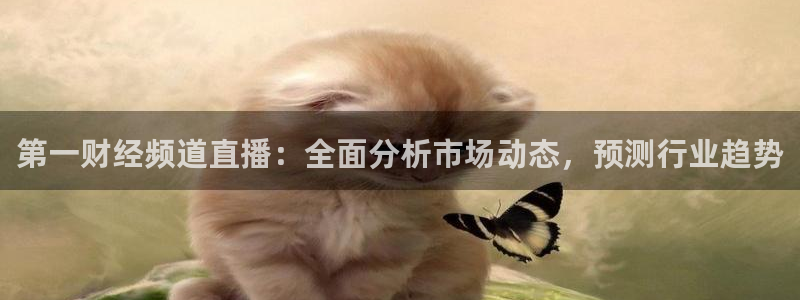 鲸鱼体育免费观看官网：第一财经频道直播：全面分析市场动态，预测行业趋势